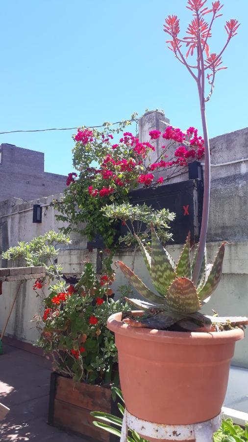 Estalagem Kymani House *